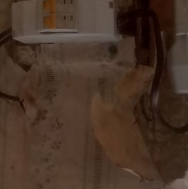 Продажа дома д. Куневичи, 74