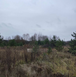 Продажа земли Минино д. Продажа земли Минино д.