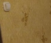 Сдать в аренду Квартиры вторичка Отрадное, улица Дружбы, 16   