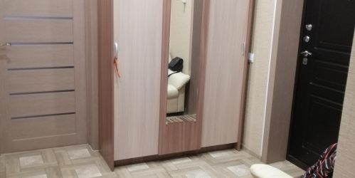 1-комн квартира Колпино Вознесенское шоссе,  д. 49к2,  к. 2