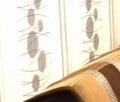 Продать Квартиры вторичка Белградская улица, 16   