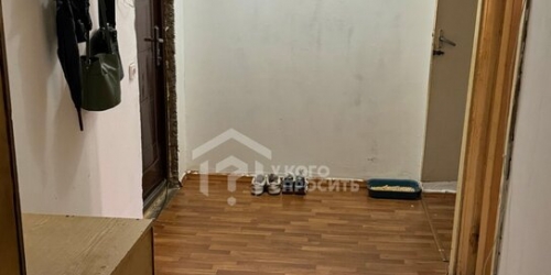 2-комн квартира Петергоф г, Чебышевская ул,  д. 11