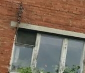 Продать Квартиры вторичка Видное, Школьная улица, 80   