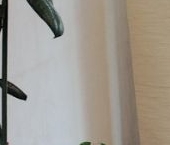 Продать Квартиры вторичка улица Карбышева, 6К2   