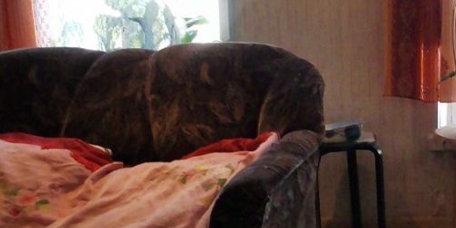 3-комн квартира проспект Римского-Корсакова, 31