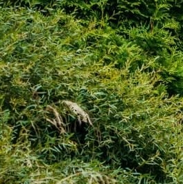 Продажа земли Имени Свердлова пгт, улица Ермаковская