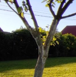 Продажа дома Бриз СНТ, 81 Продажа дома Бриз СНТ, 81