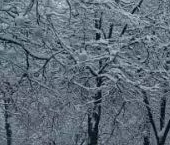 Продать Квартиры вторичка улица Фрунзе, 6   