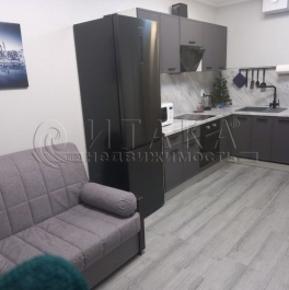 Аренда 2-комн квартиры на вторичном рынке Новосаратовка, Первых ул., д. 2, корп. 4 Аренда 2-комн квартиры на вторичном рынке Новосаратовка, Первых ул., д. 2, корп. 4