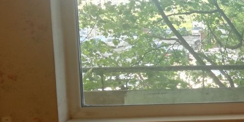 1-комн квартира Дунайский проспект, 48К1