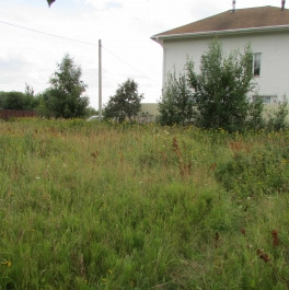 Продажа земли Лахта п, Журавлиная ул,  д. 41