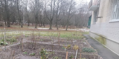 1-комн квартира Петергоф г., Озерковая ул. ,  д. 3