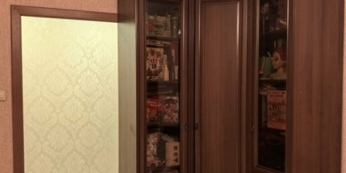 2-комн квартира Пушкин г, Алексея Толстого б-р,  д. 44