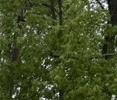 Продать Квартиры вторичка Кашира, Центральная улица, 9   