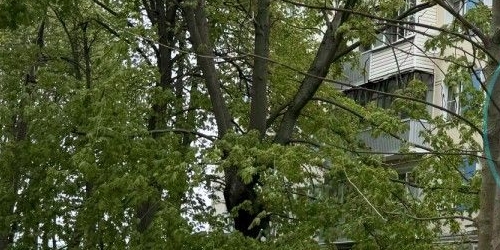 2-комн квартира Кашира, Центральная улица, 9