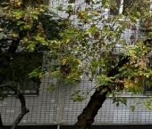 Продать Квартиры вторичка улица Санникова, 17   