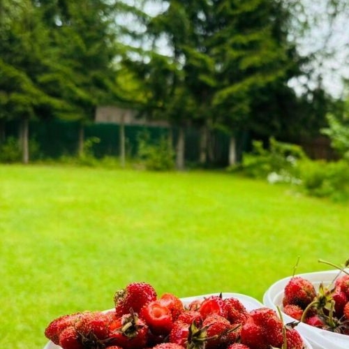 Коттедж/дом Новинка садоводческий массив, Волна СНТ,  д. 147