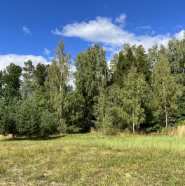 Продажа земли Пушкинский городской округ, Каштановая улица, д. 21 Продажа земли Пушкинский городской округ, Каштановая улица, д. 21