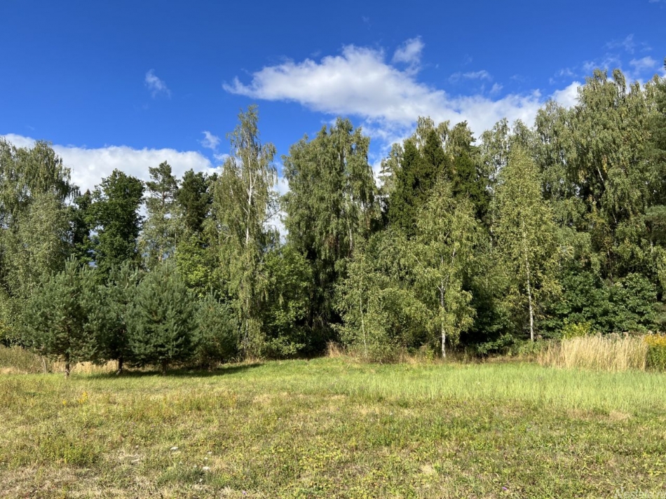 Продажа земли Пушкинский городской округ, Каштановая улица,  д. 21