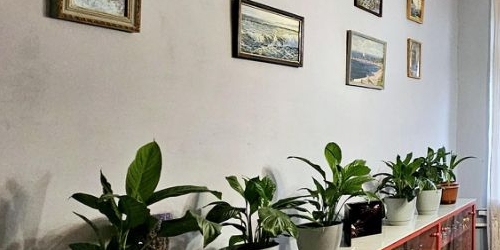 3-комн квартира Новочеркасский проспект, 41/14