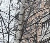 Продать Квартиры вторичка 6-я Кожуховская улица, 5   