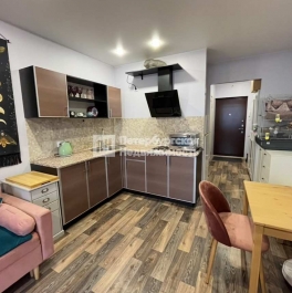 Продажа студии г Мурино, г Мурино, пр-кт Авиаторов Балтики, д 3 к 1, д. 1 Продажа студии г Мурино, г Мурино, пр-кт Авиаторов Балтики, д 3 к 1, д. 1