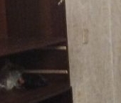 Продать Квартиры вторичка Электросталь, Южный проспект  3к2 