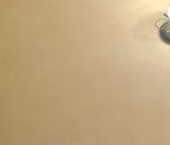 Сдать в аренду Квартиры вторичка 16-я Парковая улица, 19К2   