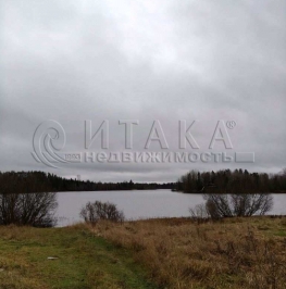 Продажа земли Богатыри, Богатыри п.