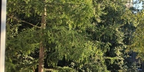 2-комн квартира Народная улица, 69