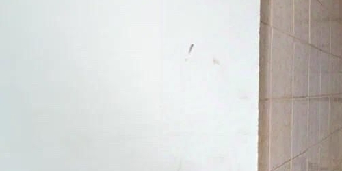 2-комн квартира Тосно г., улица Боярова, 7