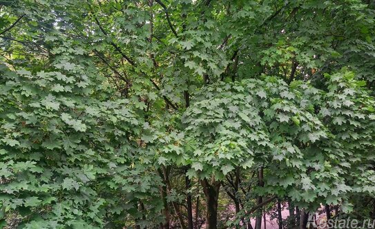 Аренда 2-комн квартиры на вторичном рынке Прядильная 3-я ул,  д. 5