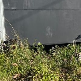 Продажа земли Восход садоводческий массив, Карат СНТ, аллея 3-я Продажа земли Восход садоводческий массив, Карат СНТ, аллея 3-я