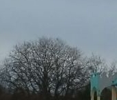 Продать Земельные участки, земля Семейные ценности кп, 185   