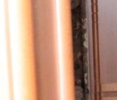 Сдать в аренду Квартиры вторичка тупик Чуксин, 5   