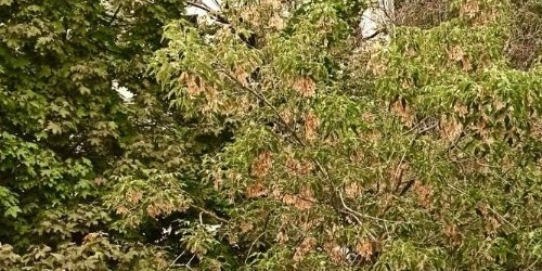 3-комн квартира Будайский проезд, 7К1