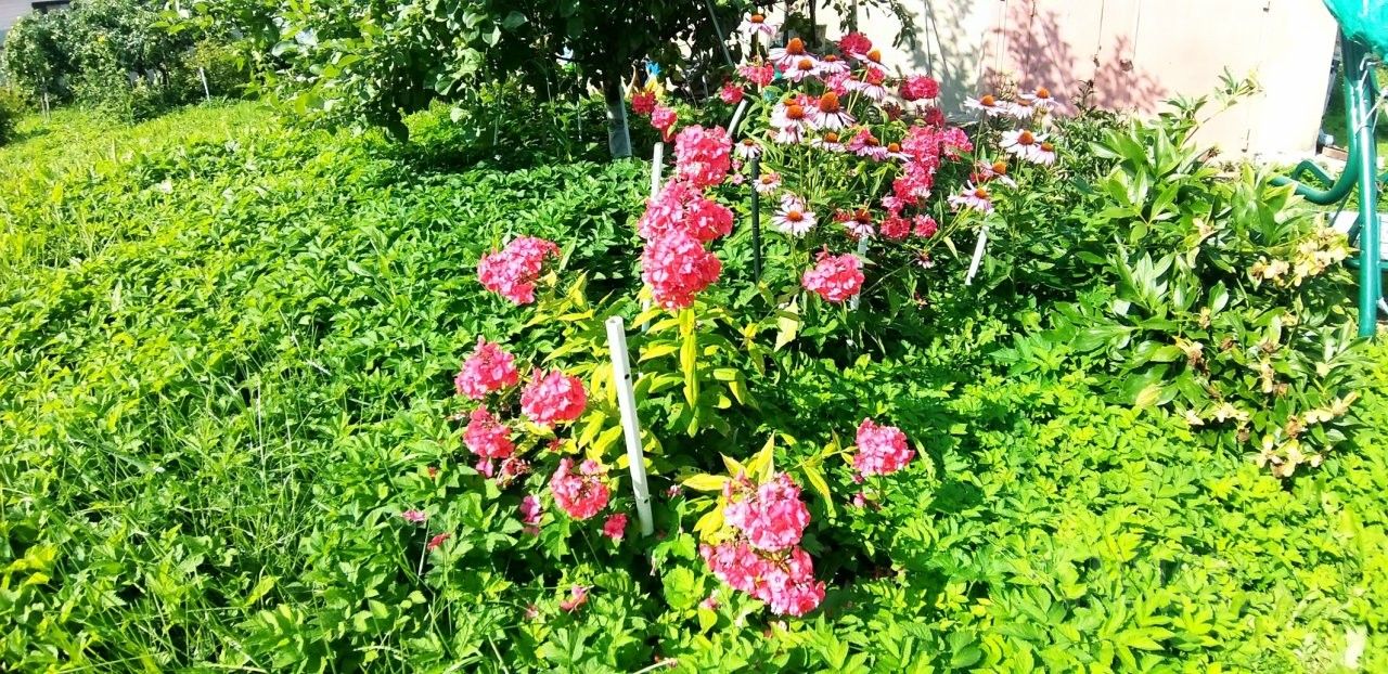 Продажа дома д. Лесколово, улица Лесная