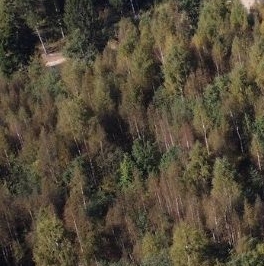 Продажа земли Вартемяги Вилладж кп, д. Вартемяги