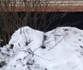 Продать Квартиры вторичка Апрелевка, улица Февральская, 53   