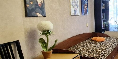 3-комн квартира Тимуровская улица, 26К2