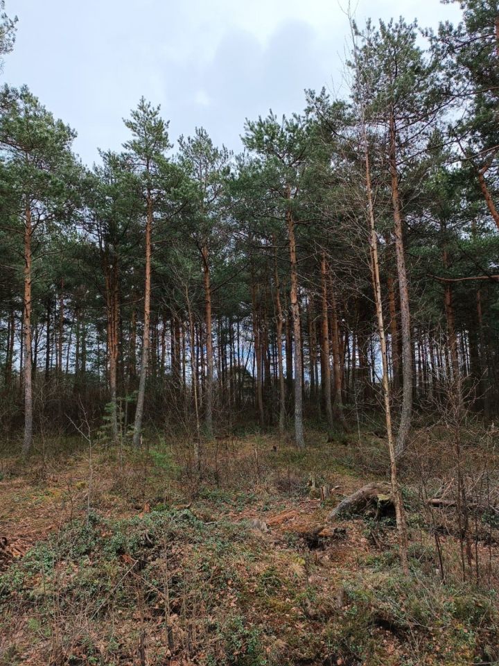 Продажа земли Восход садоводческий массив, 19-й км СНТ