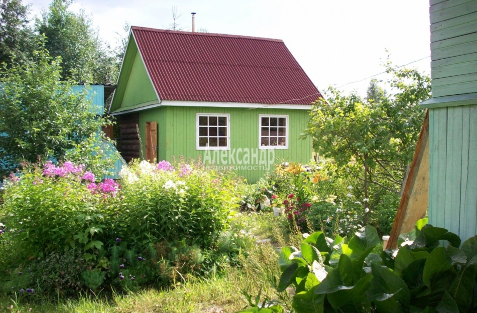 Продажа дома Новинка массив