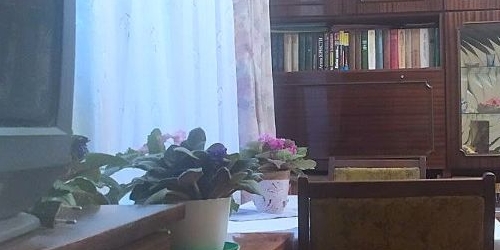 1-комн квартира улица Зины Портновой, 16