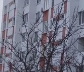 Продать Квартиры вторичка Пушкин, Лесное тер., 6   