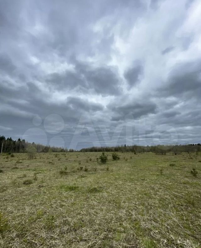 Продажа земли Лазурь кв-л, д. Каргалозы