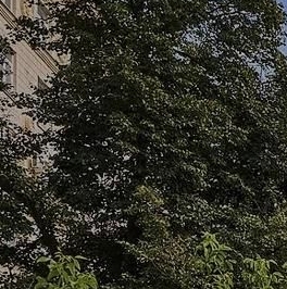 Продажа 2-комн квартиры на вторичном рынке Поклонная улица, 9