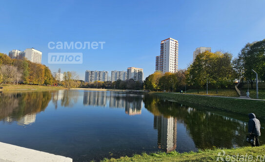 Продажа 1-комн квартиры на вторичном рынке Прокшинский проспект,  д. 5