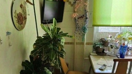 3-комн квартира проспект Большевиков, 49К1