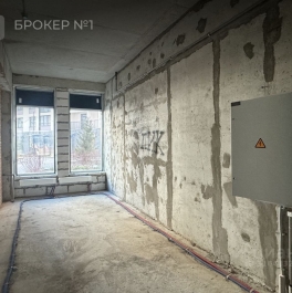 Аренда ПСН Заневский пр-кт,  д. 65