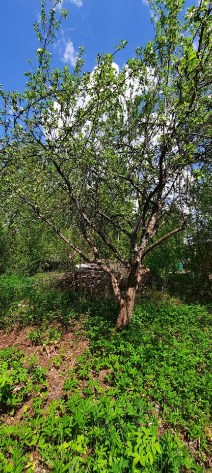 Продажа земли Новинка садоводческий массив, Энергия СНТ, 2 сектор,  д. 2